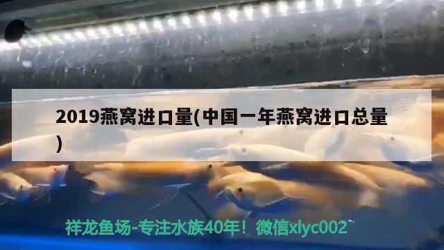 2019燕窝进口量(中国一年燕窝进口总量) 马来西亚燕窝 第1张