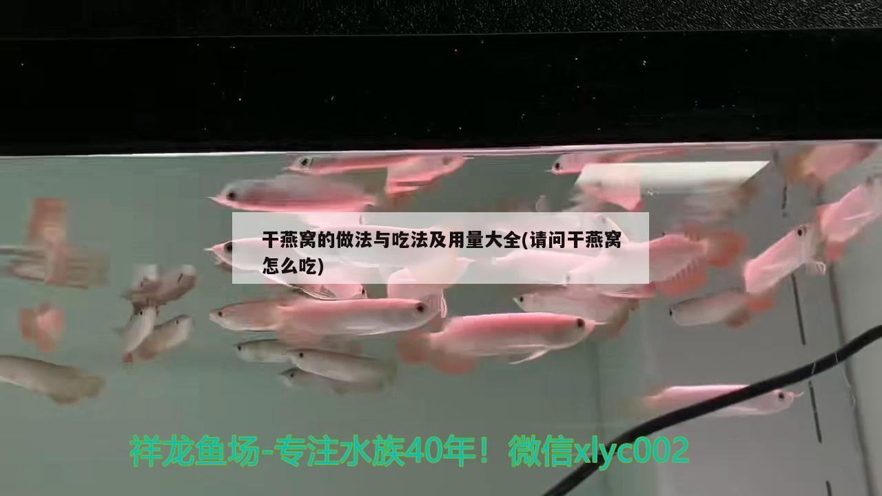 干燕窝的做法与吃法及用量大全(请问干燕窝怎么吃)