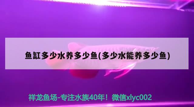 鱼缸多少水养多少鱼(多少水能养多少鱼) 广州水族批发市场