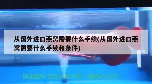 从国外进口燕窝需要什么手续(从国外进口燕窝需要什么手续和条件) 马来西亚燕窝