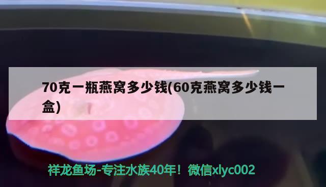 70克一瓶燕窝多少钱(60克燕窝多少钱一盒) 马来西亚燕窝