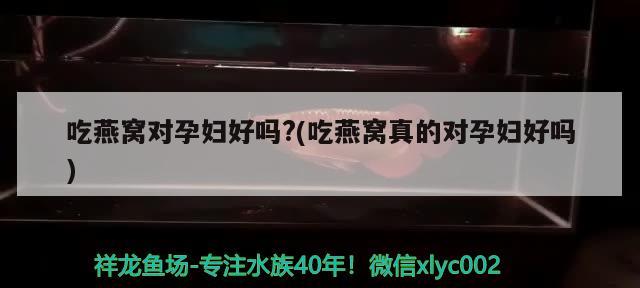 吃燕窝对孕妇好吗?(吃燕窝真的对孕妇好吗) 马来西亚燕窝