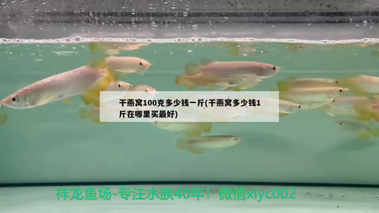 干燕窝100克多少钱一斤(干燕窝多少钱1斤在哪里买最好) 马来西亚燕窝