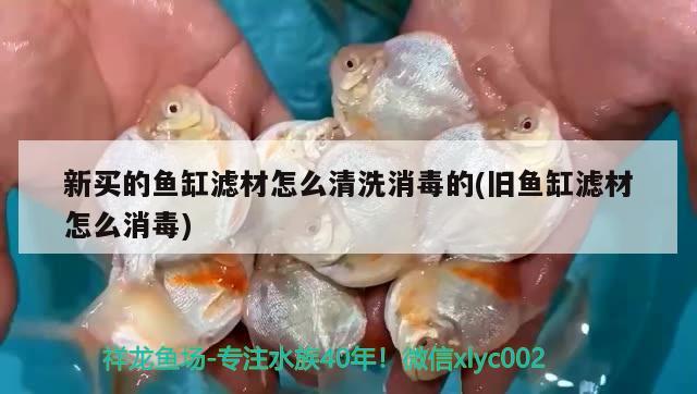 新买的鱼缸滤材怎么清洗消毒的(旧鱼缸滤材怎么消毒) 海象鱼