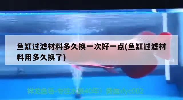 鱼缸过滤材料多久换一次好一点(鱼缸过滤材料用多久换了) B级过背金龙鱼