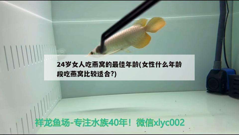 24岁女人吃燕窝的最佳年龄(女性什么年龄段吃燕窝比较适合?) 马来西亚燕窝