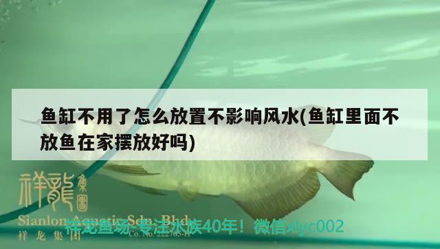 鱼缸不用了怎么放置不影响风水(鱼缸里面不放鱼在家摆放好吗) 鱼缸风水