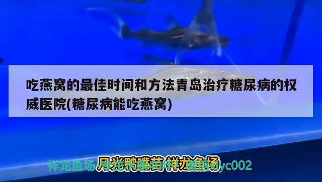 吃燕窝的最佳时间和方法青岛治疗糖尿病的权威医院(糖尿病能吃燕窝) 马来西亚燕窝