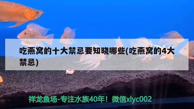 吃燕窝的十大禁忌要知晓哪些(吃燕窝的4大禁忌)