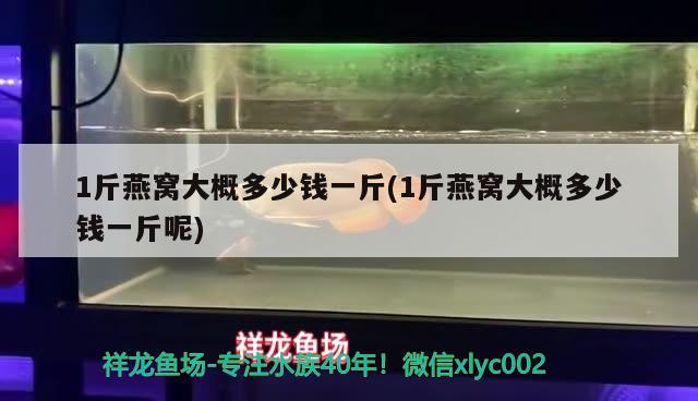 1斤燕窝大概多少钱一斤(1斤燕窝大概多少钱一斤呢) 马来西亚燕窝