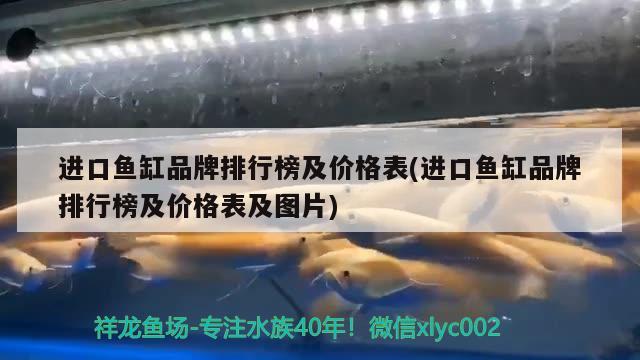 进口鱼缸品牌排行榜及价格表(进口鱼缸品牌排行榜及价格表及图片) 黄金猫鱼