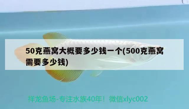 50克燕窝大概要多少钱一个(500克燕窝需要多少钱) 马来西亚燕窝