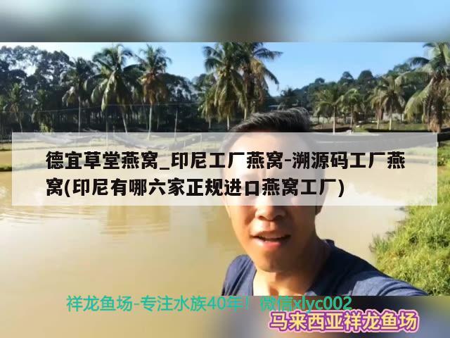 德宜草堂燕窝_印尼工厂燕窝-溯源码工厂燕窝(印尼有哪六家正规进口燕窝工厂)