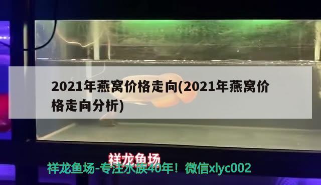 2021年燕窝价格走向(2021年燕窝价格走向分析)