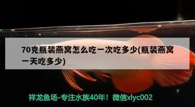 70克瓶装燕窝怎么吃一次吃多少(瓶装燕窝一天吃多少) 马来西亚燕窝