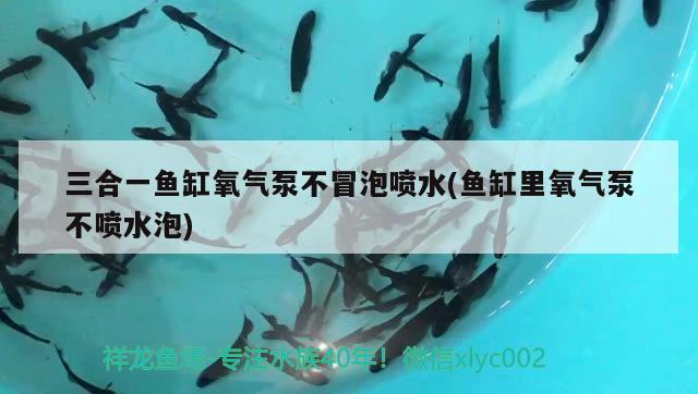 三合一鱼缸氧气泵不冒泡喷水(鱼缸里氧气泵不喷水泡) 水温计