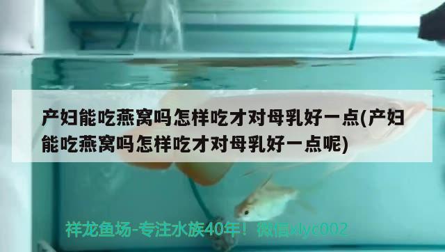 产妇能吃燕窝吗怎样吃才对母乳好一点(产妇能吃燕窝吗怎样吃才对母乳好一点呢)