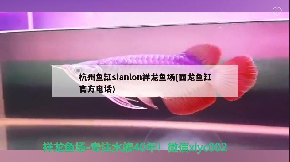 杭州鱼缸sianlon祥龙鱼场(西龙鱼缸官方电话)