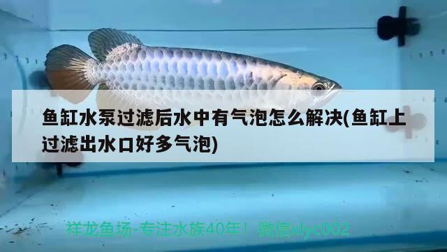 鱼缸水泵过滤后水中有气泡怎么解决(鱼缸上过滤出水口好多气泡) 鱼缸水泵