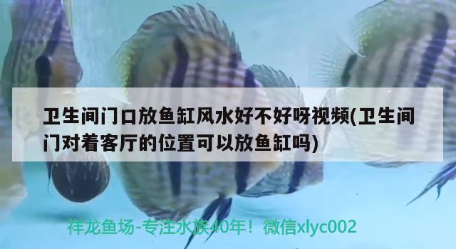 卫生间门口放鱼缸风水好不好呀视频(卫生间门对着客厅的位置可以放鱼缸吗)