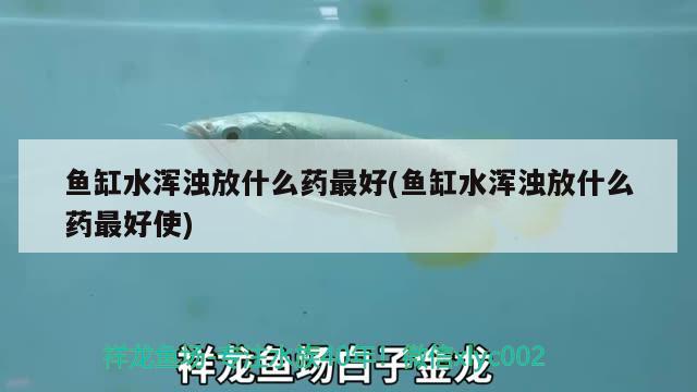 鱼缸水浑浊放什么药最好(鱼缸水浑浊放什么药最好使) 大湖红龙鱼 第4张