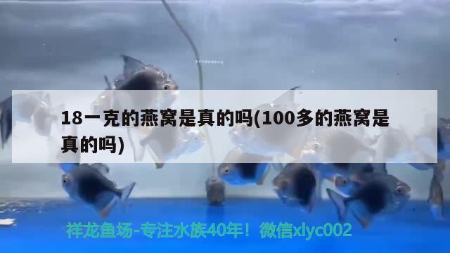 18一克的燕窝是真的吗(100多的燕窝是真的吗)