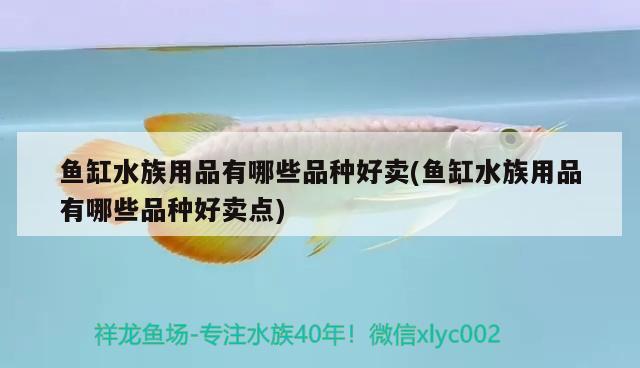 鱼缸水族用品有哪些品种好卖(鱼缸水族用品有哪些品种好卖点) 水族用品