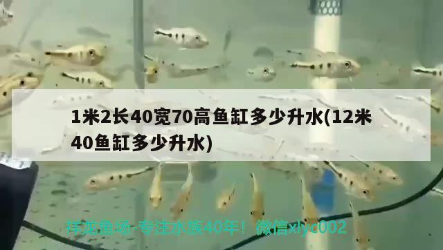 1米2长40宽70高鱼缸多少升水(12米40鱼缸多少升水) 大白鲨鱼苗