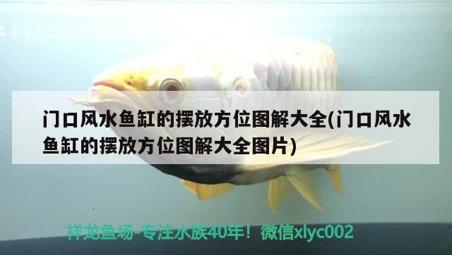 门口风水鱼缸的摆放方位图解大全(门口风水鱼缸的摆放方位图解大全图片) 鱼缸风水