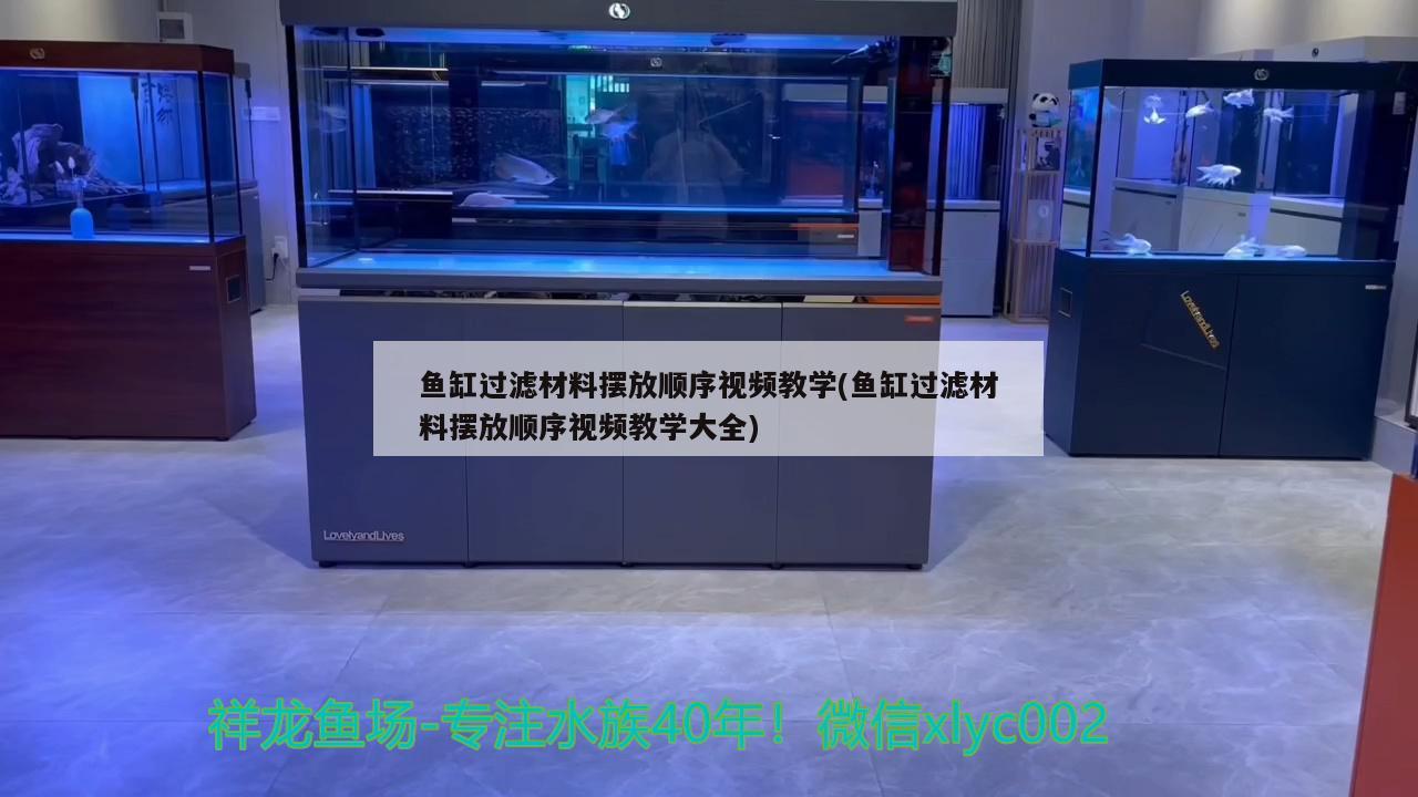 鱼缸过滤材料摆放顺序视频教学(鱼缸过滤材料摆放顺序视频教学大全)