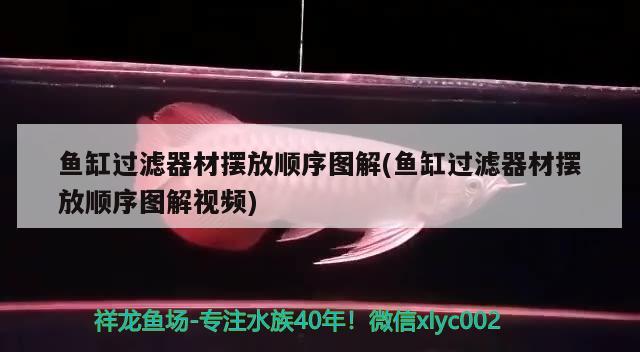 鱼缸过滤器材摆放顺序图解(鱼缸过滤器材摆放顺序图解视频) 委内瑞拉奥里诺三间鱼