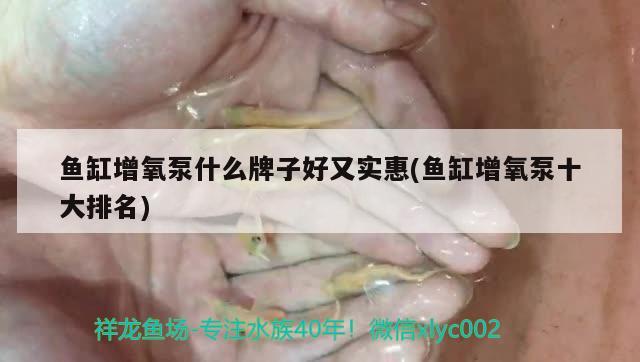 鱼缸增氧泵什么牌子好又实惠(鱼缸增氧泵十大排名)