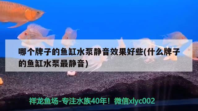 哪个牌子的鱼缸水泵静音效果好些(什么牌子的鱼缸水泵最静音) 鱼缸水泵