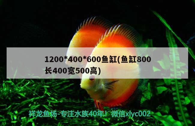 1200*400*600鱼缸(鱼缸800长400宽500高) 杀菌消毒设备