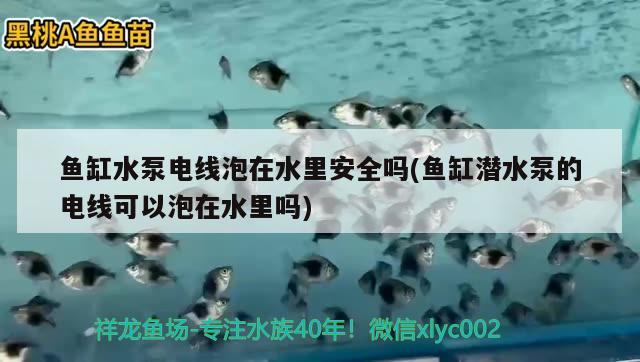 鱼缸水泵电线泡在水里安全吗(鱼缸潜水泵的电线可以泡在水里吗) 鱼缸水泵