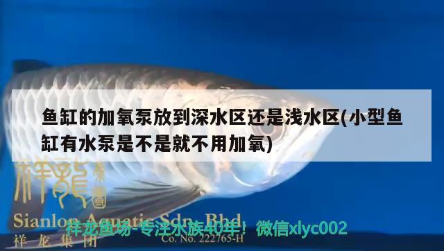 鱼缸的加氧泵放到深水区还是浅水区(小型鱼缸有水泵是不是就不用加氧)