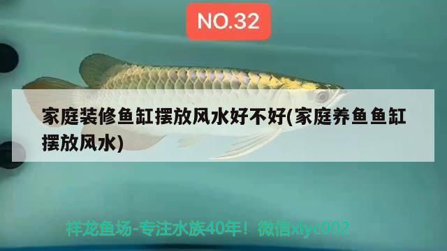 家庭装修鱼缸摆放风水好不好(家庭养鱼鱼缸摆放风水) 鱼缸风水