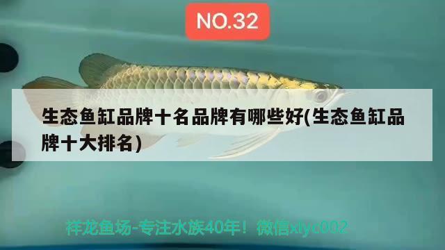 生态鱼缸品牌十名品牌有哪些好(生态鱼缸品牌十大排名) 红眼黄化幽灵火箭鱼|皇家火箭鱼