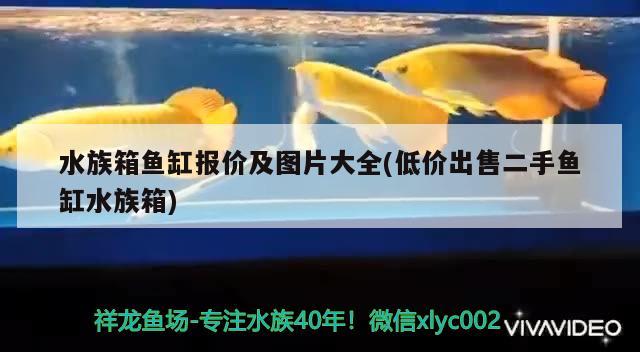 水族箱鱼缸报价及图片大全(低价出售二手鱼缸水族箱) 鱼缸/水族箱