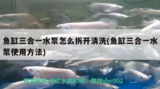 鱼缸三合一水泵怎么拆开清洗(鱼缸三合一水泵使用方法)