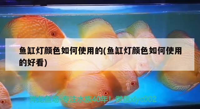 鱼缸灯颜色如何使用的(鱼缸灯颜色如何使用的好看)