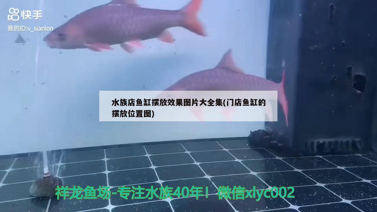 水族店鱼缸摆放效果图片大全集(门店鱼缸的摆放位置图)