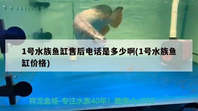 1号水族鱼缸售后电话是多少啊(1号水族鱼缸价格) 广州水族器材滤材批发市场