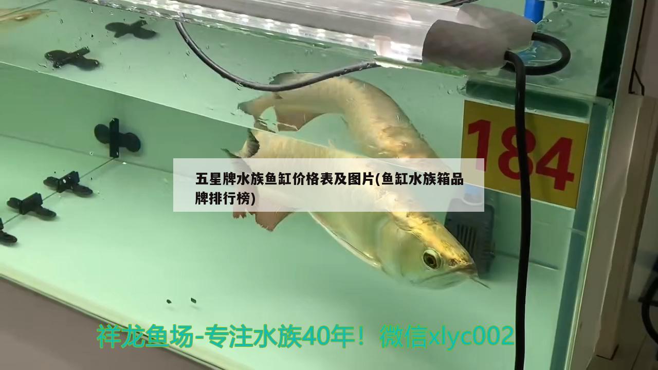 五星牌水族鱼缸价格表及图片(鱼缸水族箱品牌排行榜) 鱼缸/水族箱