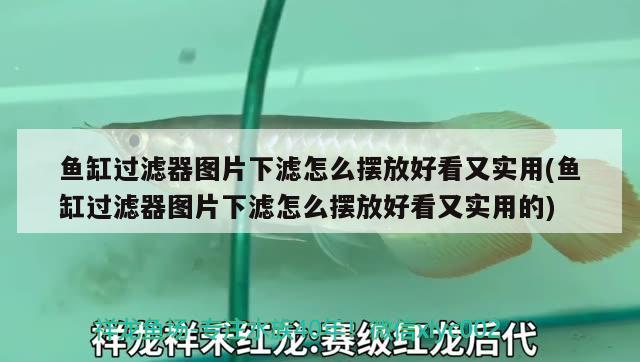 鱼缸过滤器图片下滤怎么摆放好看又实用(鱼缸过滤器图片下滤怎么摆放好看又实用的)