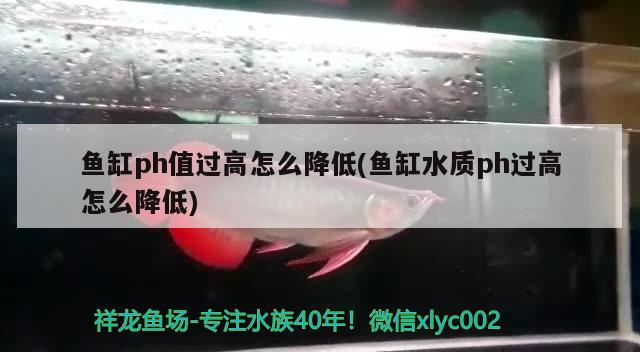 鱼缸ph值过高怎么降低(鱼缸水质ph过高怎么降低) 龙凤鲤鱼