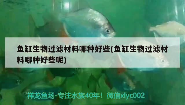 鱼缸生物过滤材料哪种好些(鱼缸生物过滤材料哪种好些呢) 祥龙进口元宝凤凰鱼