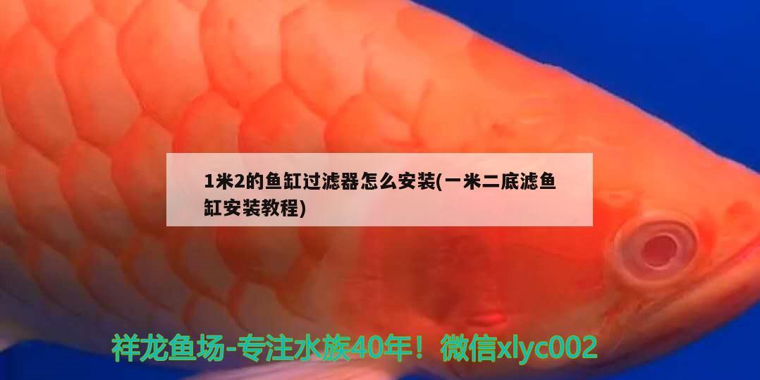 1米2的鱼缸过滤器怎么安装(一米二底滤鱼缸安装教程)