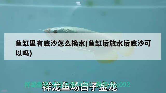 鱼缸里有底沙怎么换水(鱼缸后放水后底沙可以吗)