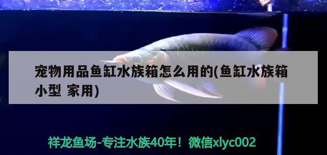 宠物用品鱼缸水族箱怎么用的(鱼缸水族箱小型家用)